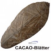 Cacaoblätter 10 St. Theobroma - Cacao